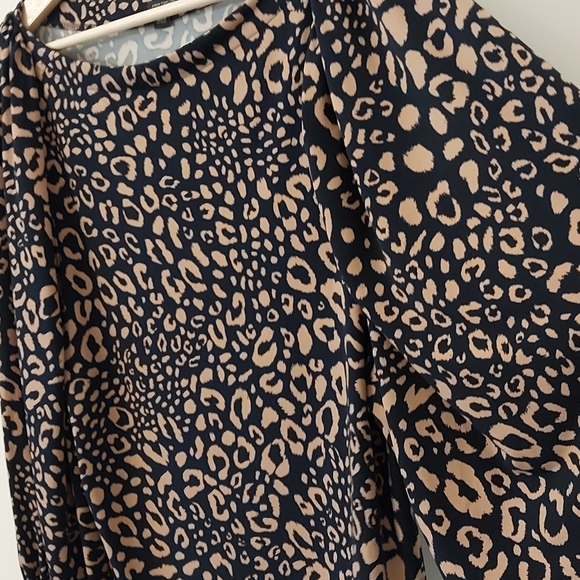 Ann Taylor Flowy Baggy Long Sleeve Cheetah Print Blouse Size L - Picture 4 of 10